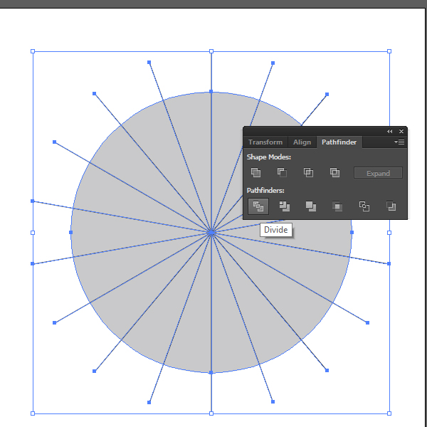 Making Charts In Illustrator