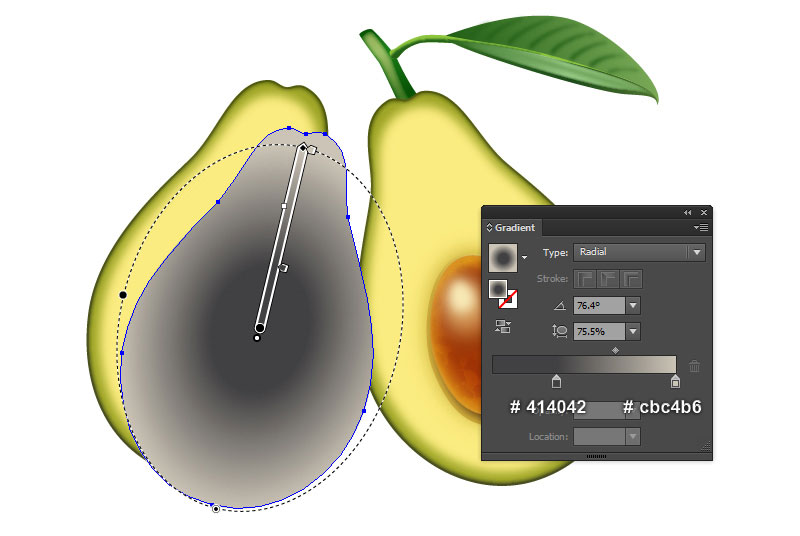 Create Two Slices of Avocado in Adobe Illustrator 2